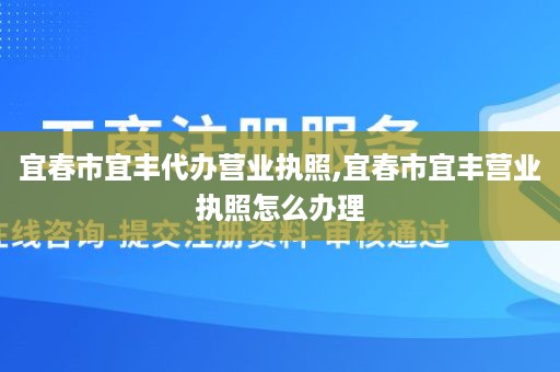 宜春市宜丰代办营业执照,宜春市宜丰营业执照怎么办理