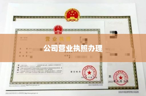 公司营业执照办理
