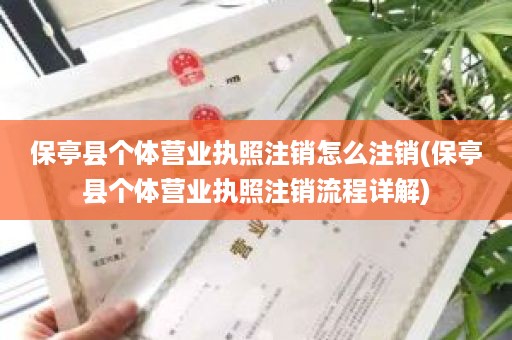保亭县个体营业执照注销怎么注销(保亭县个体营业执照注销流程详解)