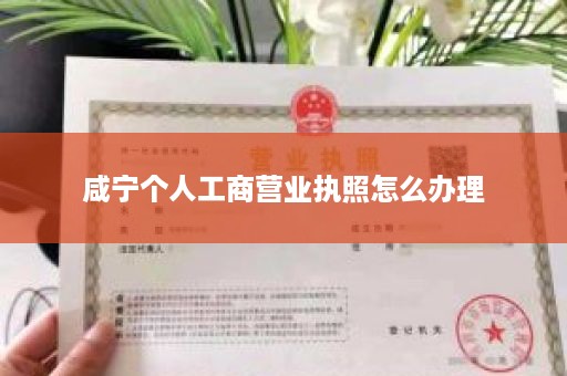咸宁个人工商营业执照怎么办理