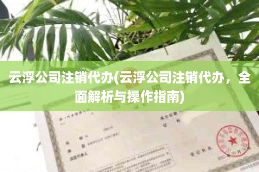 云浮公司注销代办(云浮公司注销代办，全面解析与操作指南)