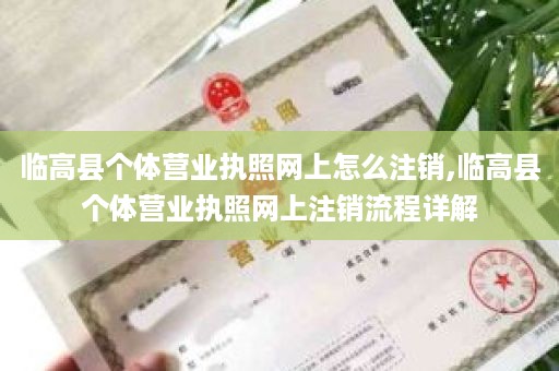 临高县个体营业执照网上怎么注销,临高县个体营业执照网上注销流程详解