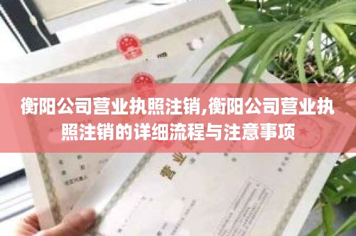衡阳公司营业执照注销,衡阳公司营业执照注销的详细流程与注意事项