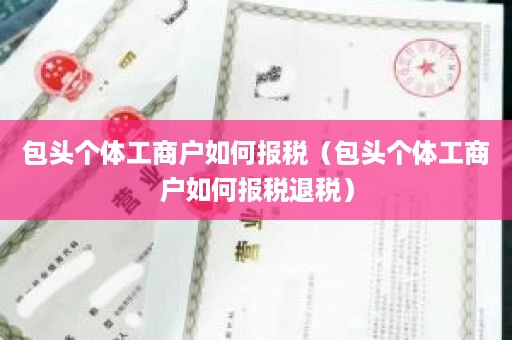 包头个体工商户如何报税（包头个体工商户如何报税退税）