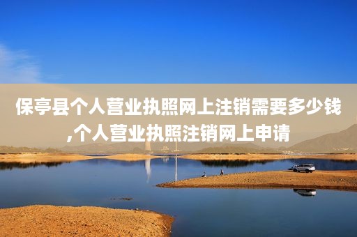 保亭县个人营业执照网上注销需要多少钱,个人营业执照注销网上申请