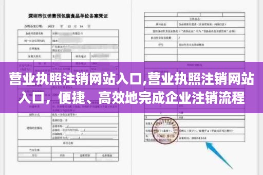营业执照注销网站入口,营业执照注销网站入口，便捷、高效地完成企业注销流程