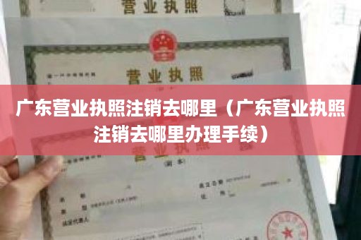 广东营业执照注销去哪里（广东营业执照注销去哪里办理手续）