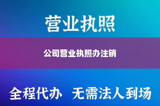 公司营业执照办注销