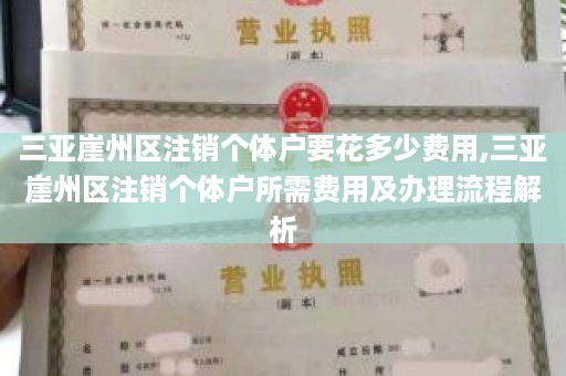 三亚崖州区注销个体户要花多少费用,三亚崖州区注销个体户所需费用及办理流程解析