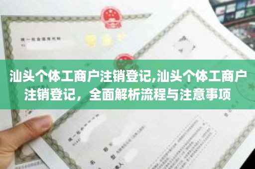 汕头个体工商户注销登记,汕头个体工商户注销登记，全面解析流程与注意事项
