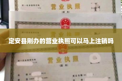 定安县刚办的营业执照可以马上注销吗