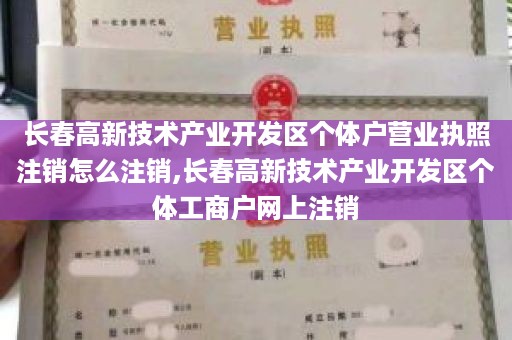 长春高新技术产业开发区个体户营业执照注销怎么注销,长春高新技术产业开发区个体工商户网上注销