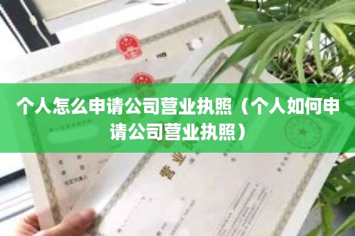个人怎么申请公司营业执照（个人如何申请公司营业执照）