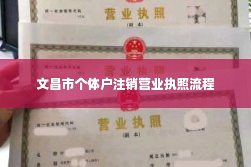文昌市个体户注销营业执照流程
