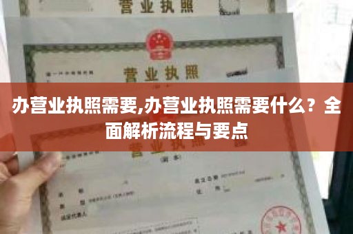 办营业执照需要,办营业执照需要什么？全面解析流程与要点