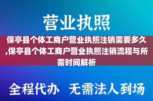 保亭县个体工商户营业执照注销需要多久,保亭县个体工商户营业执照注销流程与所需时间解析
