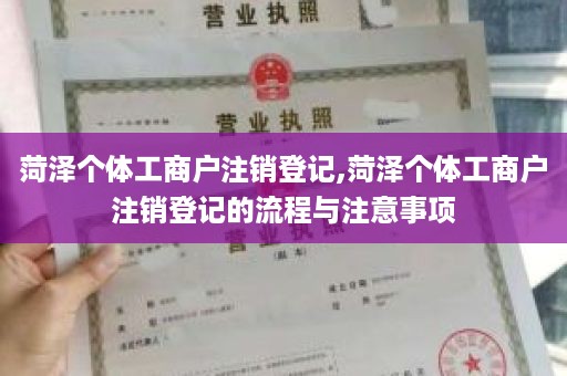 菏泽个体工商户注销登记,菏泽个体工商户注销登记的流程与注意事项