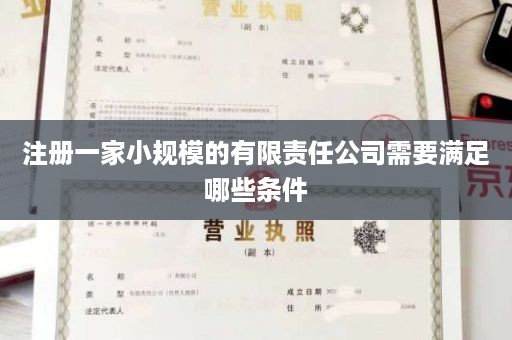 注册一家小规模的有限责任公司需要满足哪些条件