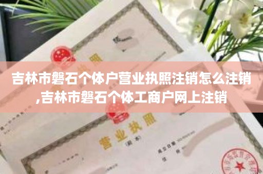 吉林市磐石个体户营业执照注销怎么注销,吉林市磐石个体工商户网上注销