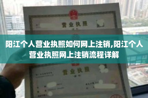 阳江个人营业执照如何网上注销,阳江个人营业执照网上注销流程详解