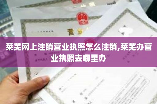 莱芜网上注销营业执照怎么注销,莱芜办营业执照去哪里办