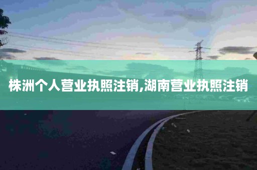 株洲个人营业执照注销,湖南营业执照注销