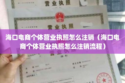 海口电商个体营业执照怎么注销（海口电商个体营业执照怎么注销流程）