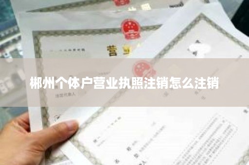 郴州个体户营业执照注销怎么注销