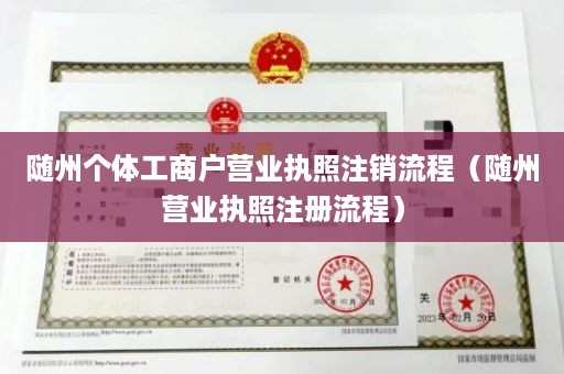 随州个体工商户营业执照注销流程（随州营业执照注册流程）