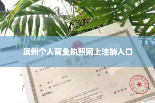 滨州个人营业执照网上注销入口