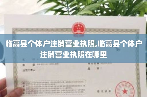 临高县个体户注销营业执照,临高县个体户注销营业执照在哪里