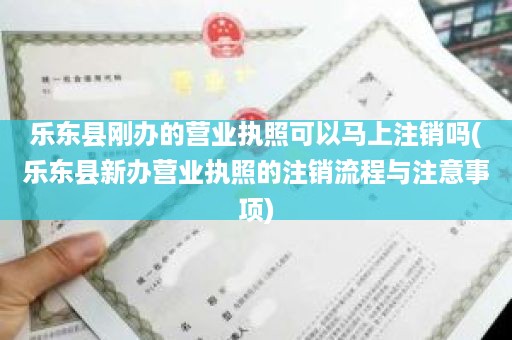 乐东县刚办的营业执照可以马上注销吗(乐东县新办营业执照的注销流程与注意事项)