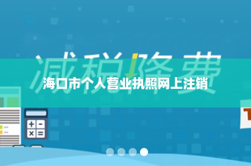 海口市个人营业执照网上注销