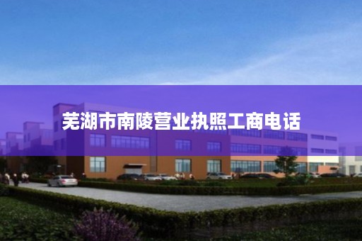 芜湖市南陵营业执照工商电话