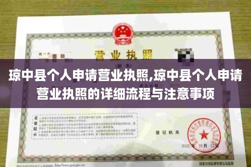 琼中县个人申请营业执照,琼中县个人申请营业执照的详细流程与注意事项