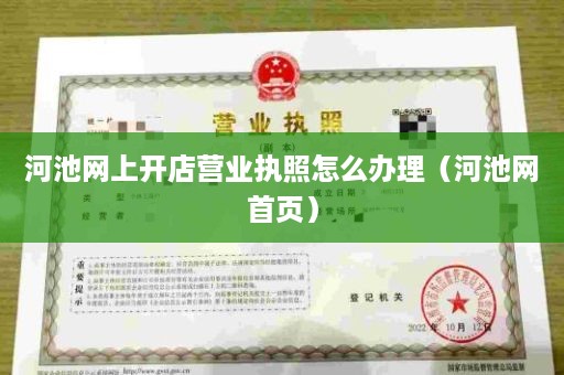 河池网上开店营业执照怎么办理（河池网首页）