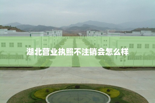 湖北营业执照不注销会怎么样