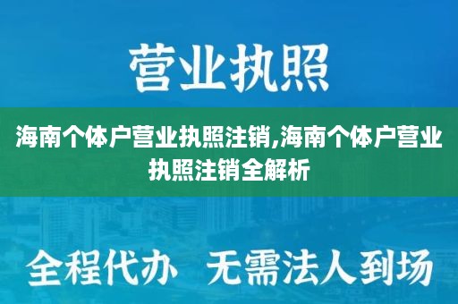 海南个体户营业执照注销,海南个体户营业执照注销全解析