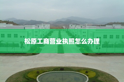 松原工商营业执照怎么办理