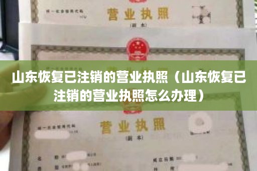 山东恢复已注销的营业执照（山东恢复已注销的营业执照怎么办理）
