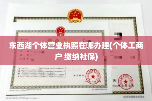 东西湖个体营业执照在哪办理(个体工商户 缴纳社保)