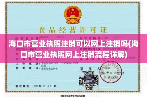海口市营业执照注销可以网上注销吗(海口市营业执照网上注销流程详解)