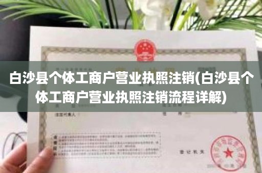 白沙县个体工商户营业执照注销(白沙县个体工商户营业执照注销流程详解)