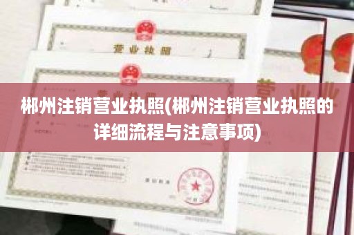 郴州注销营业执照(郴州注销营业执照的详细流程与注意事项)