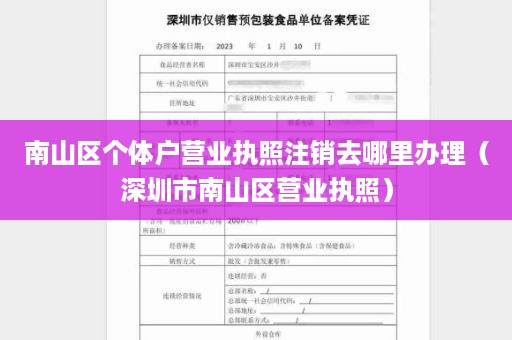 南山区个体户营业执照注销去哪里办理（深圳市南山区营业执照）