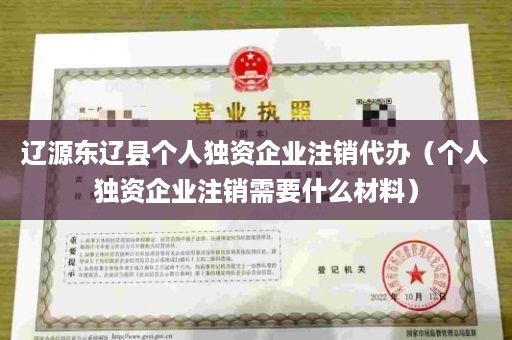 辽源东辽县个人独资企业注销代办（个人独资企业注销需要什么材料）