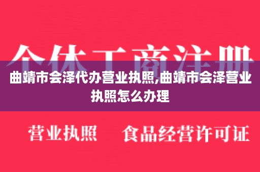 曲靖市会泽代办营业执照,曲靖市会泽营业执照怎么办理