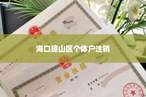 海口琼山区个体户注销