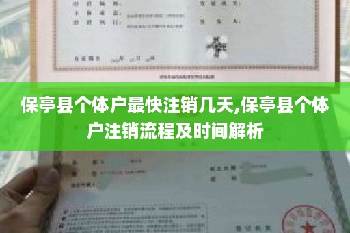 保亭县个体户最快注销几天,保亭县个体户注销流程及时间解析