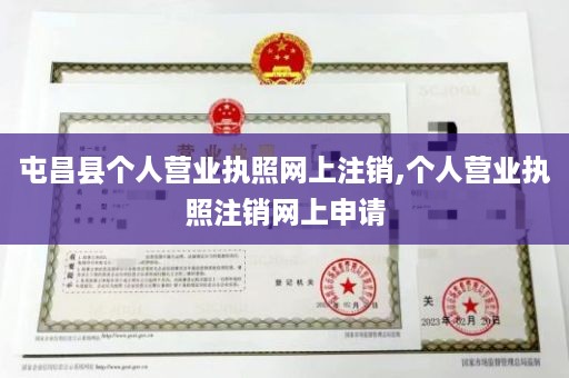 屯昌县个人营业执照网上注销,个人营业执照注销网上申请
